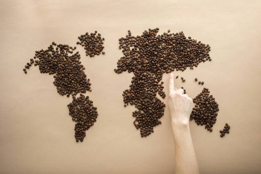 Discover the World Through Our International Coffee Blends