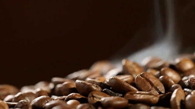fresh roasted coffee beans